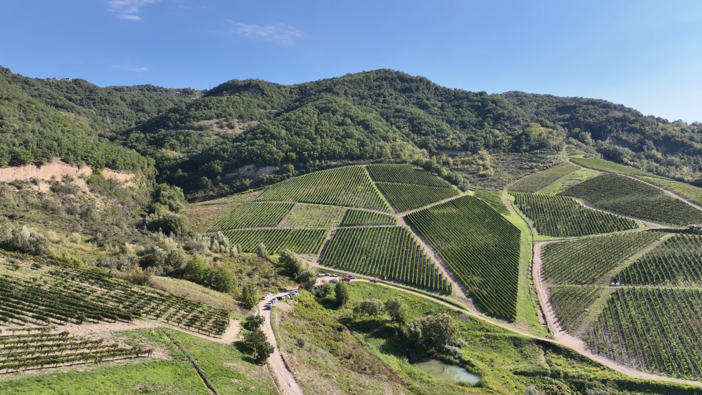 Progetto Grease_Terroir vitivinicolo